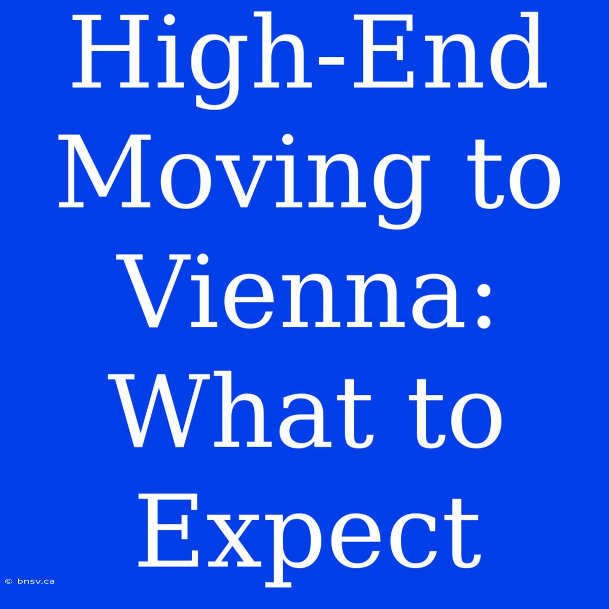 High-End Moving To Vienna: What To Expect