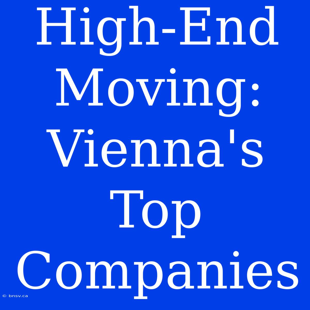 High-End Moving: Vienna's Top Companies