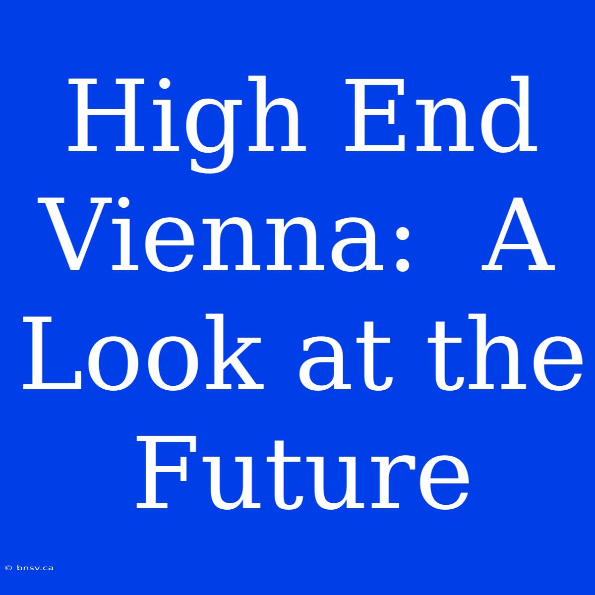 High End Vienna:  A Look At The Future