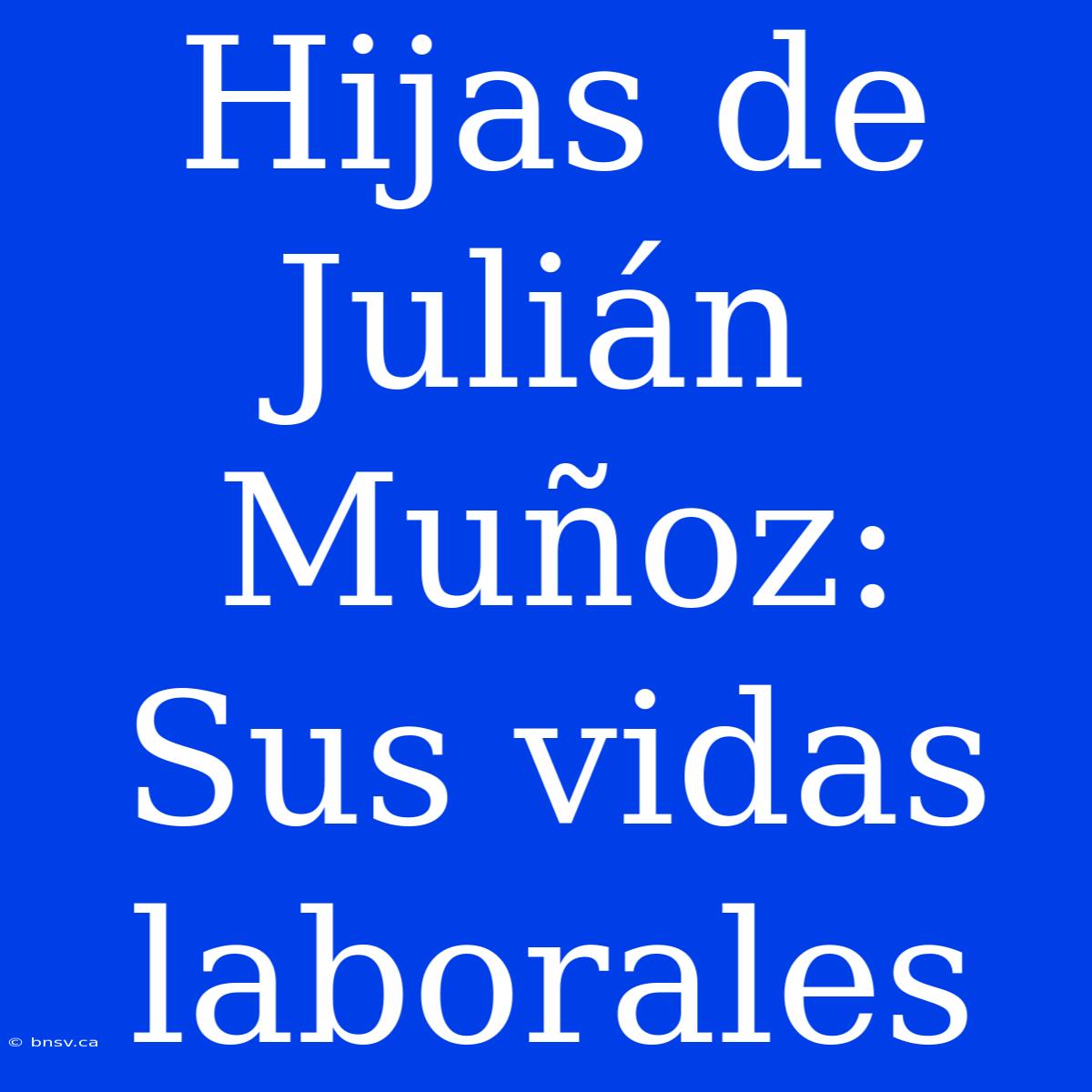 Hijas De Julián Muñoz: Sus Vidas Laborales