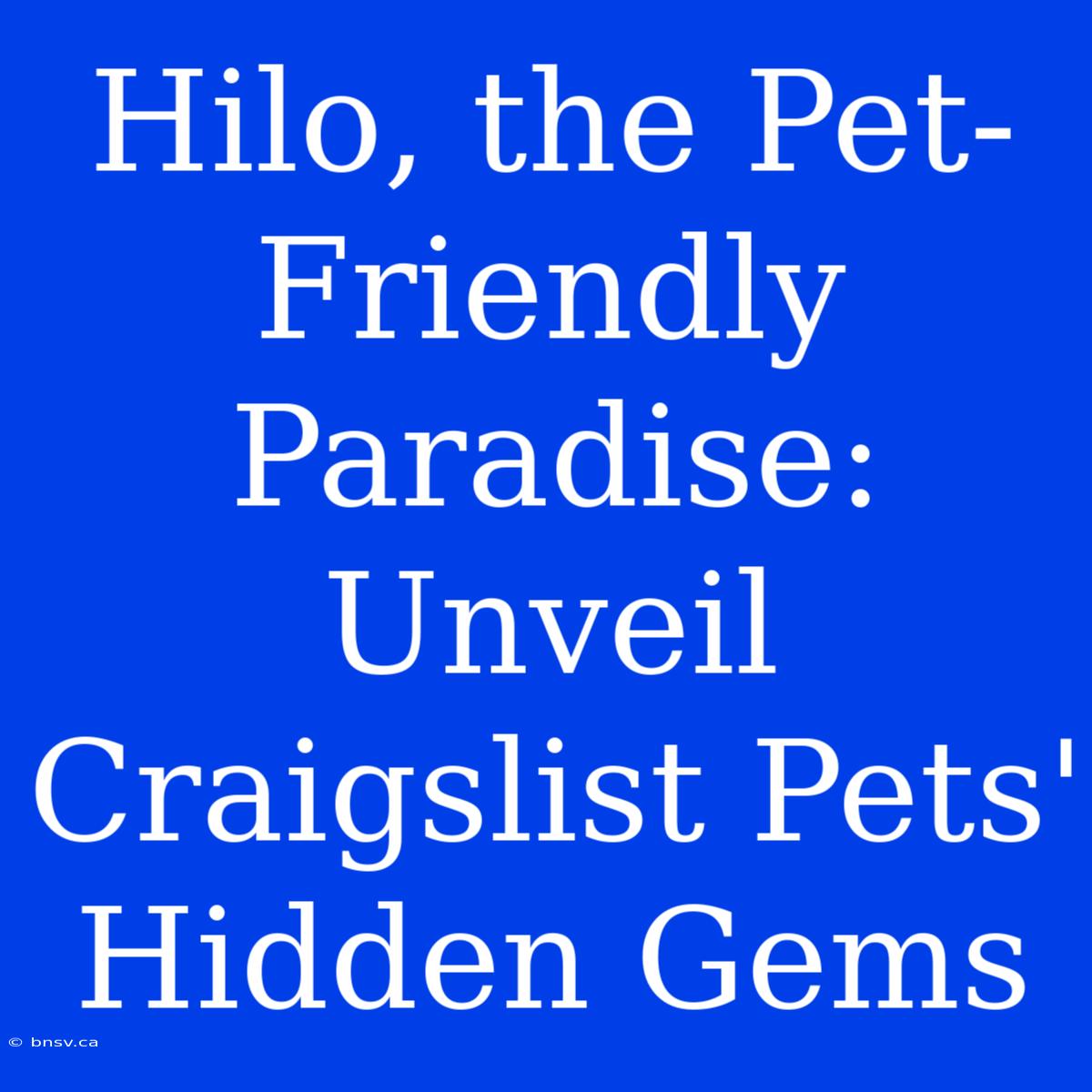 Hilo, The Pet-Friendly Paradise: Unveil Craigslist Pets' Hidden Gems