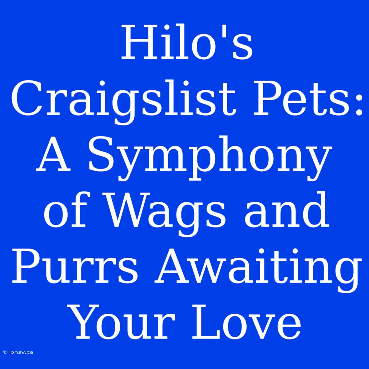 Hilo's Craigslist Pets: A Symphony Of Wags And Purrs Awaiting Your Love