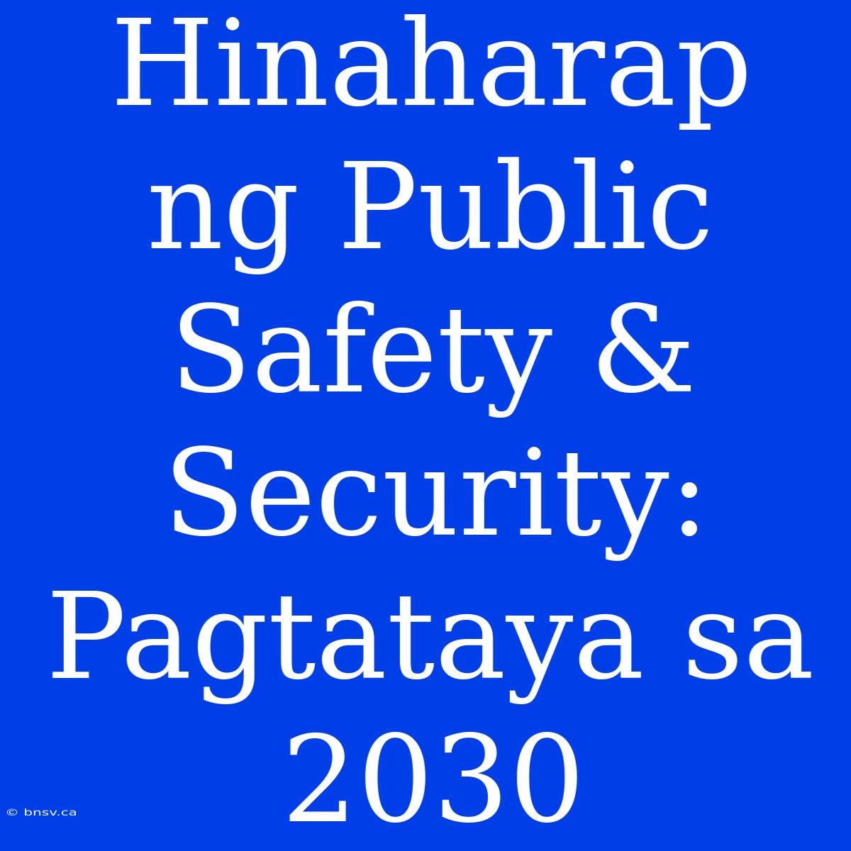 Hinaharap Ng Public Safety & Security: Pagtataya Sa 2030