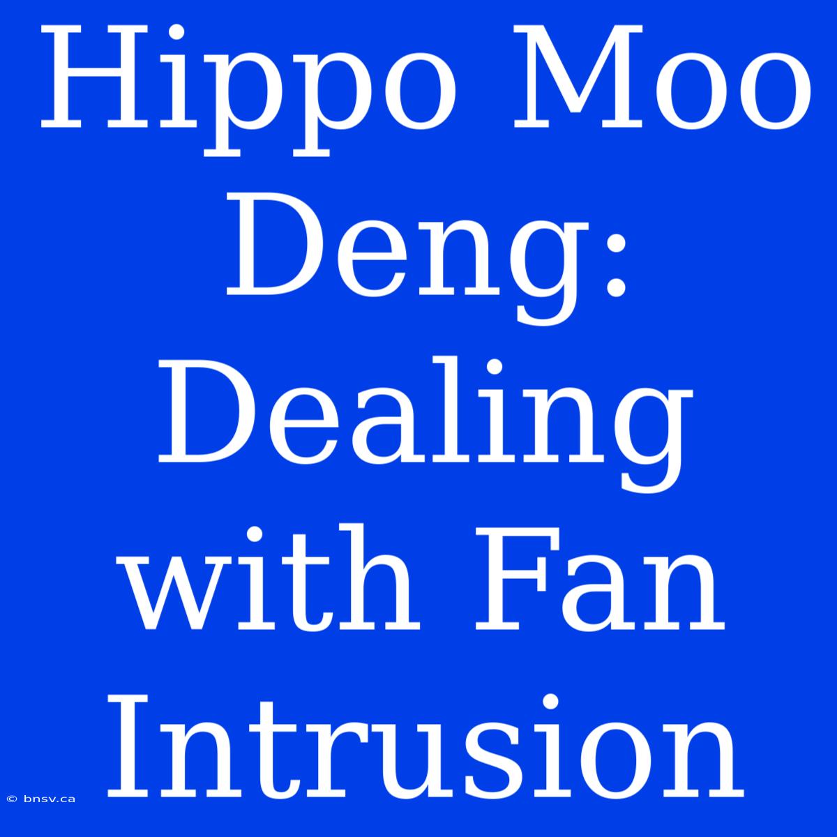 Hippo Moo Deng:  Dealing With Fan Intrusion