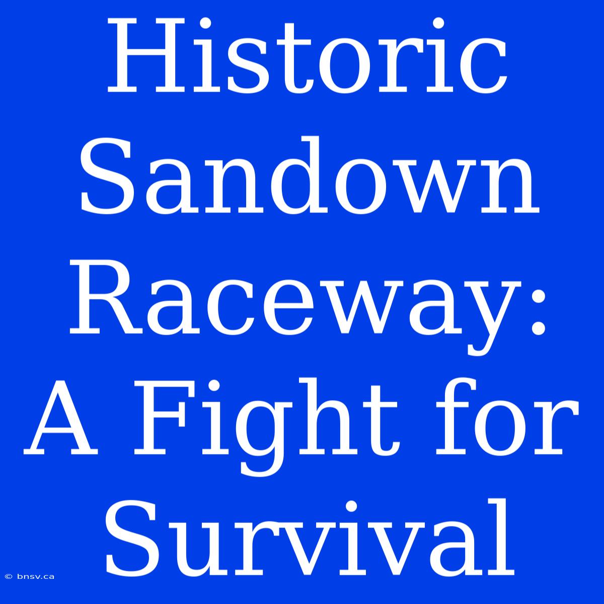 Historic Sandown Raceway: A Fight For Survival