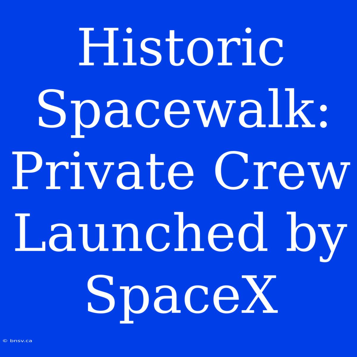 Historic Spacewalk: Private Crew Launched By SpaceX