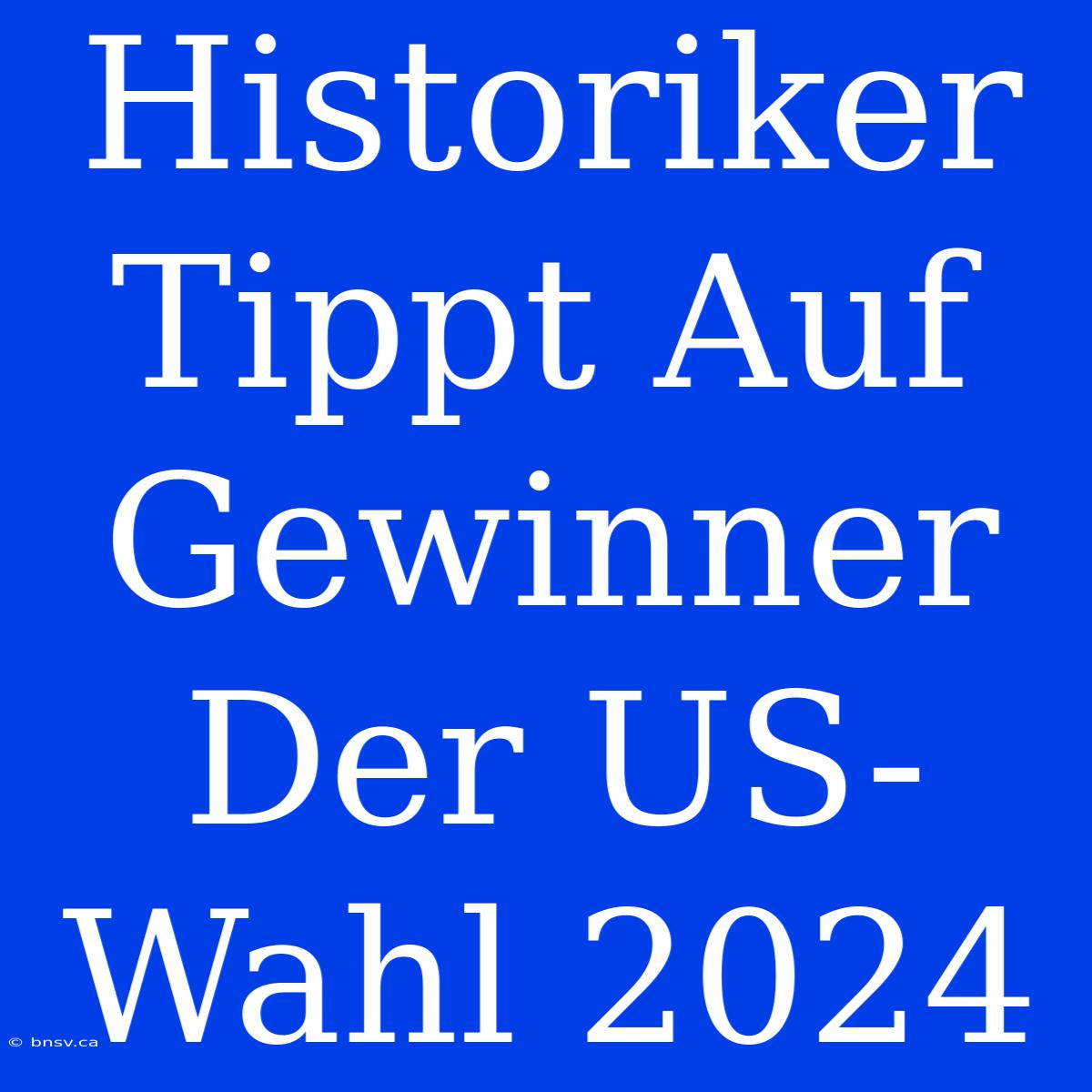 Historiker Tippt Auf Gewinner Der US-Wahl 2024