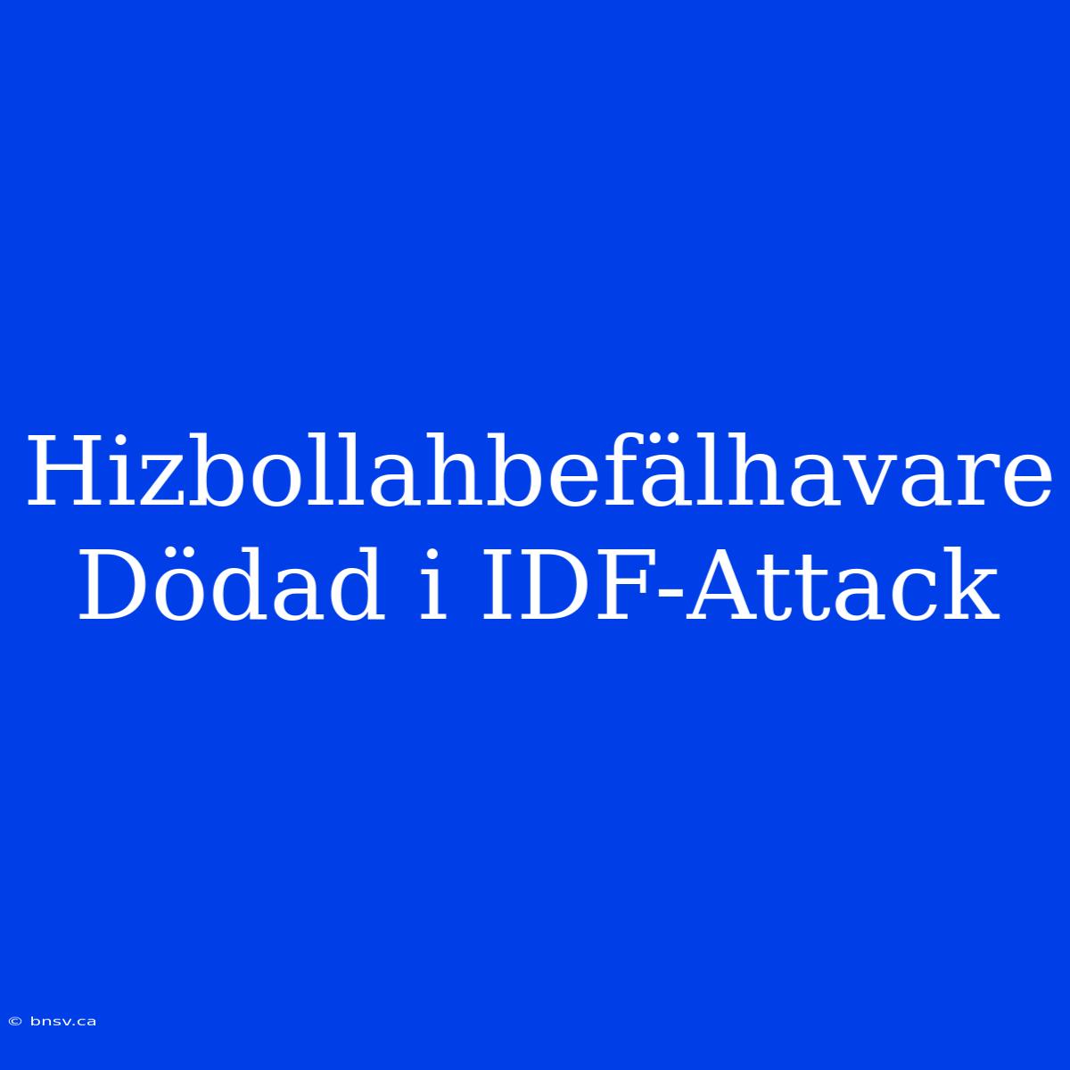 Hizbollahbefälhavare Dödad I IDF-Attack