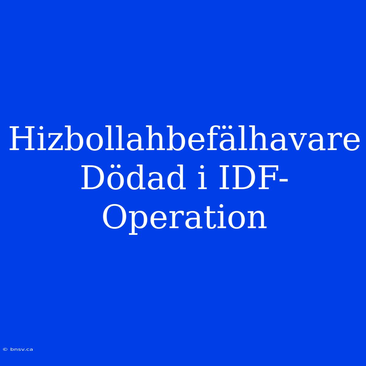 Hizbollahbefälhavare Dödad I IDF-Operation