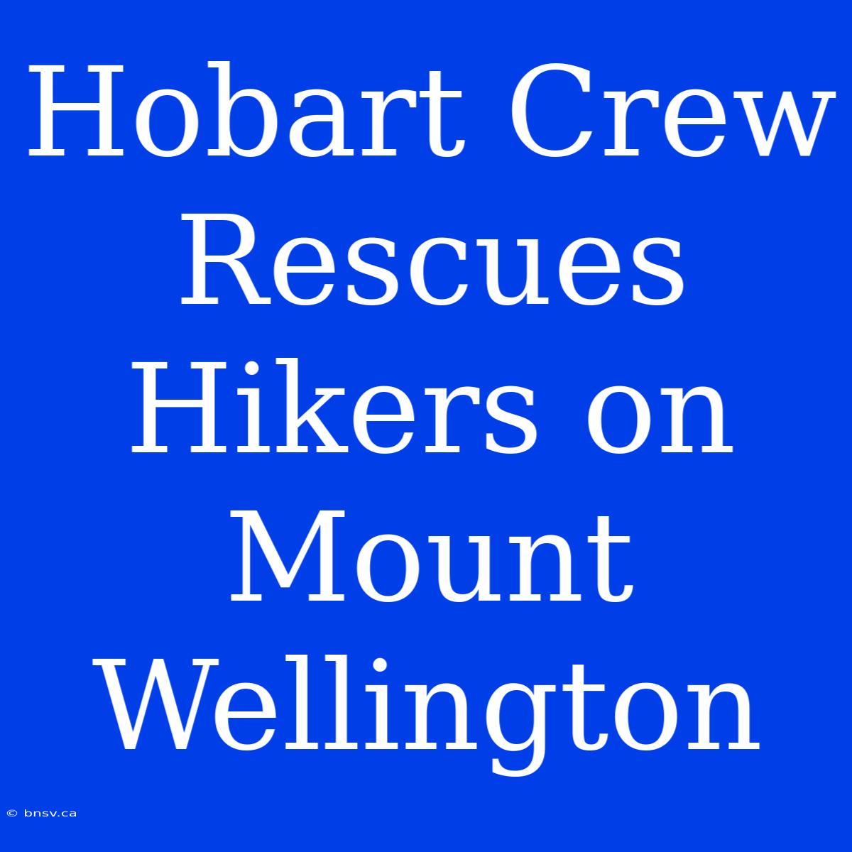 Hobart Crew Rescues Hikers On Mount Wellington