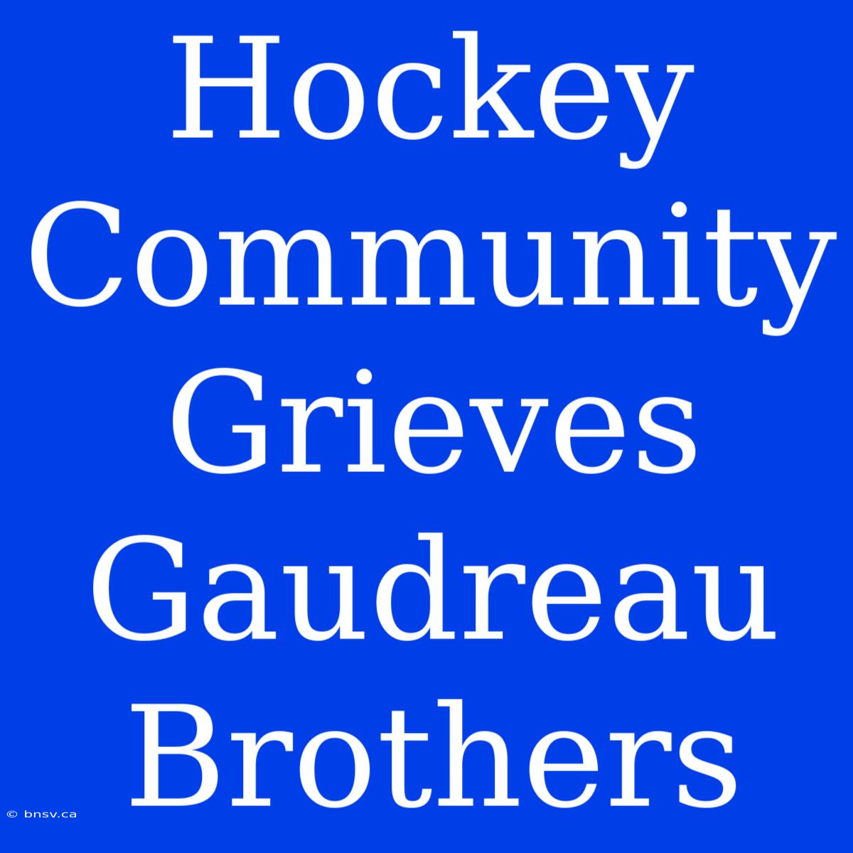 Hockey Community Grieves Gaudreau Brothers