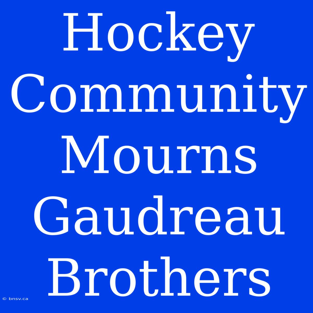 Hockey Community Mourns Gaudreau Brothers