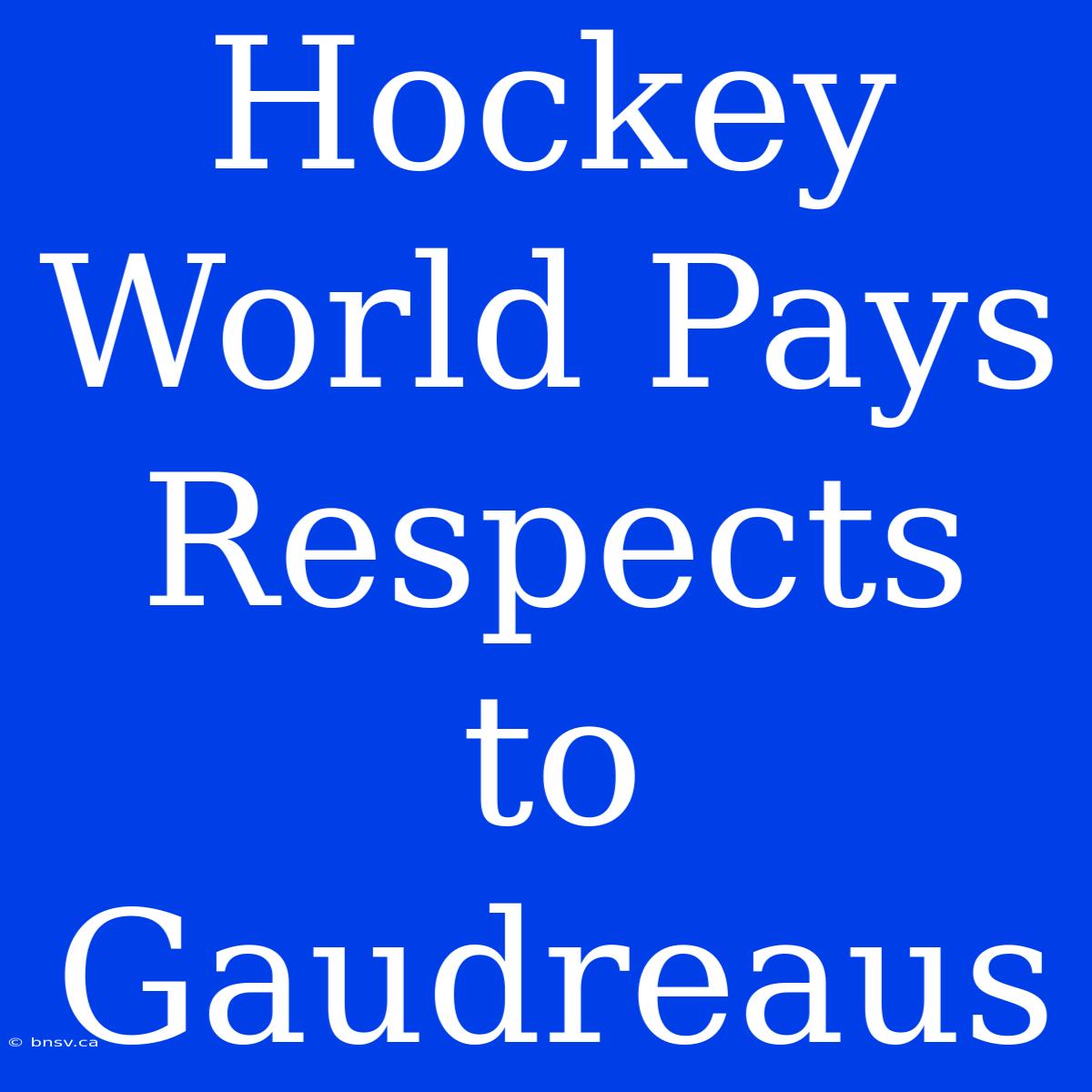 Hockey World Pays Respects To Gaudreaus