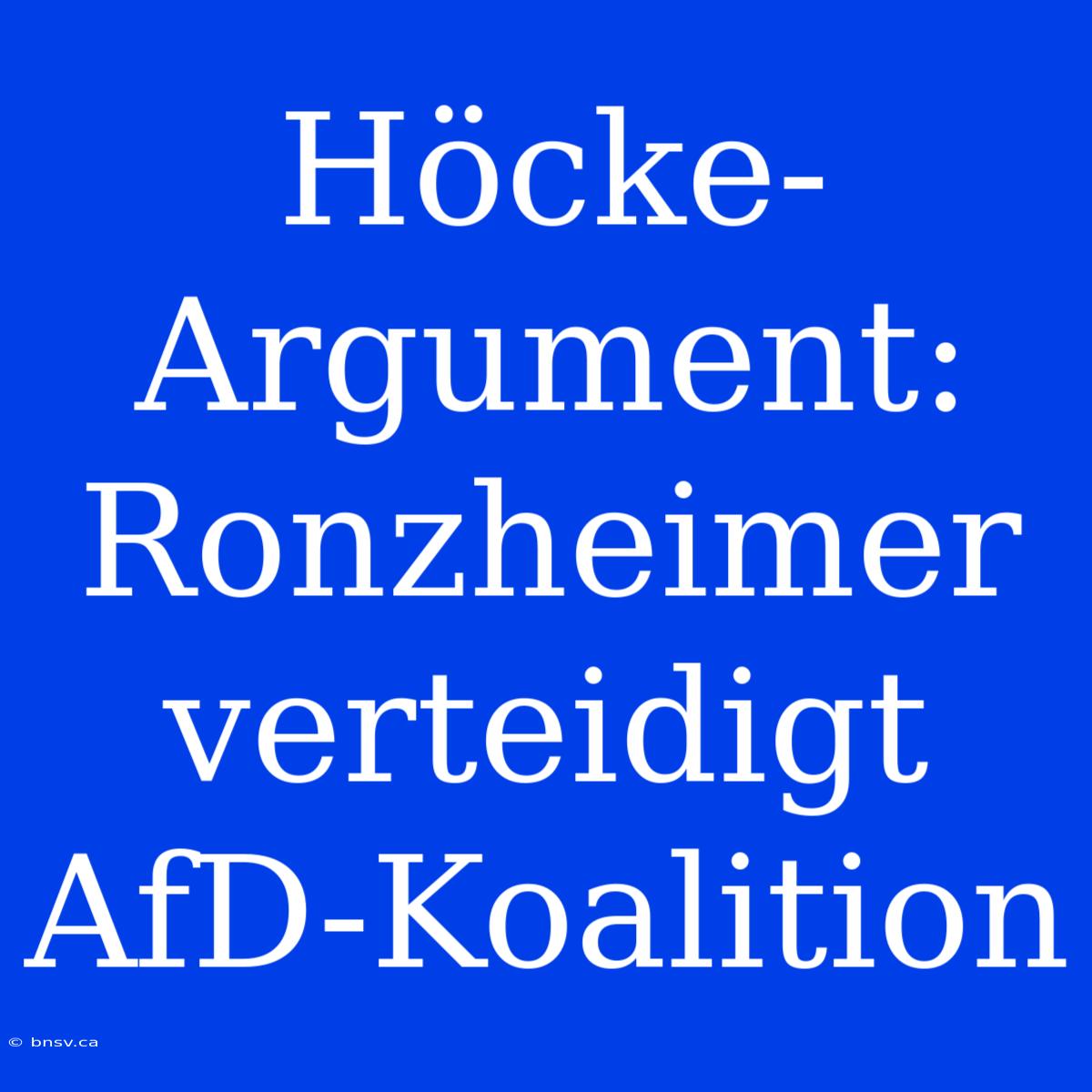 Höcke-Argument: Ronzheimer Verteidigt AfD-Koalition