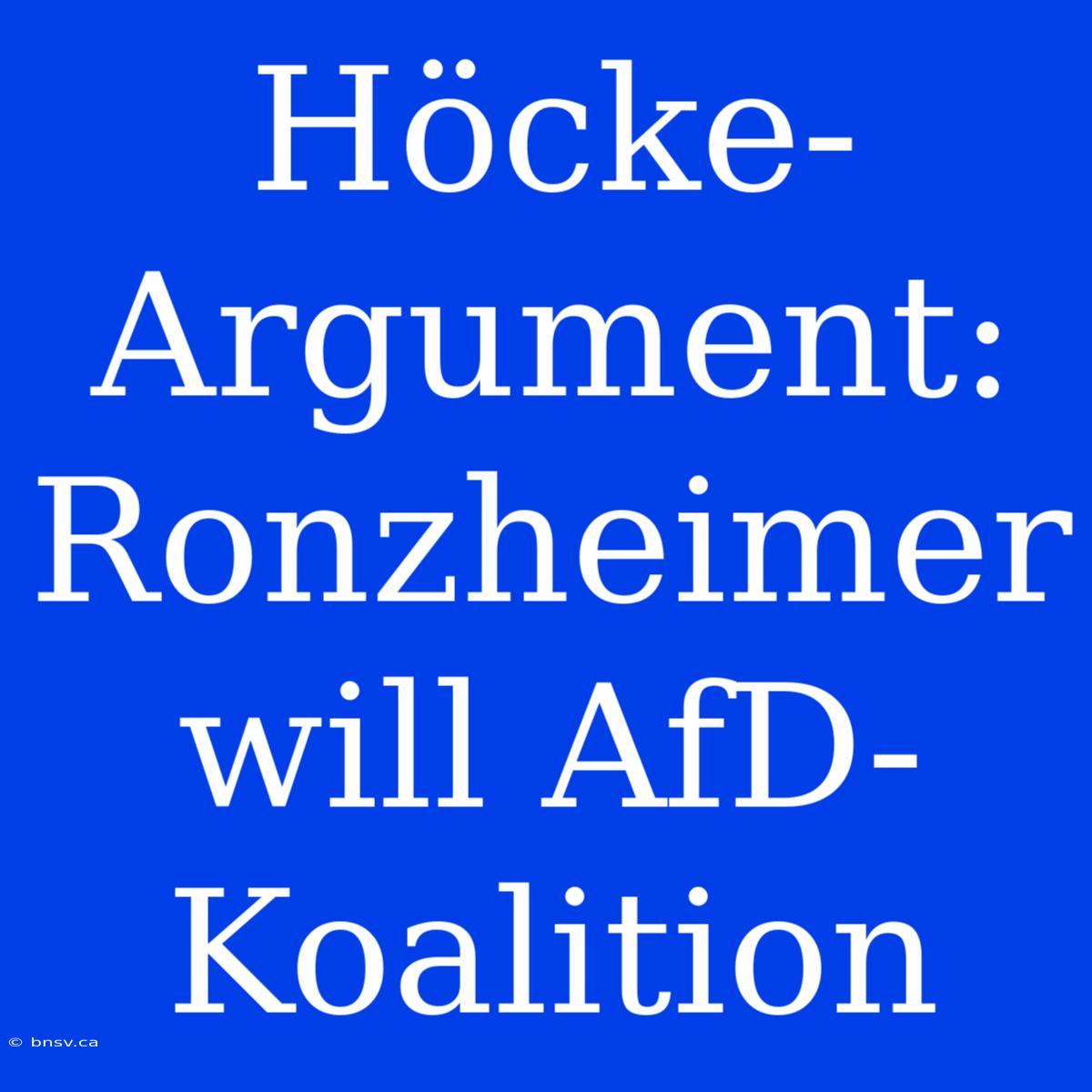 Höcke-Argument: Ronzheimer Will AfD-Koalition