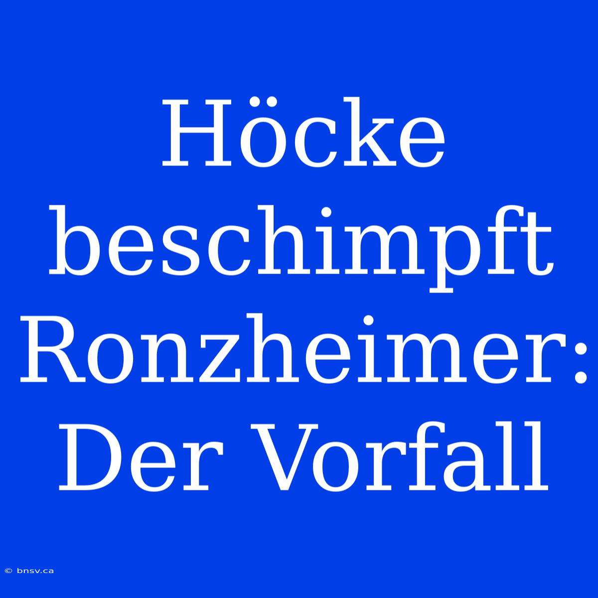 Höcke Beschimpft Ronzheimer: Der Vorfall