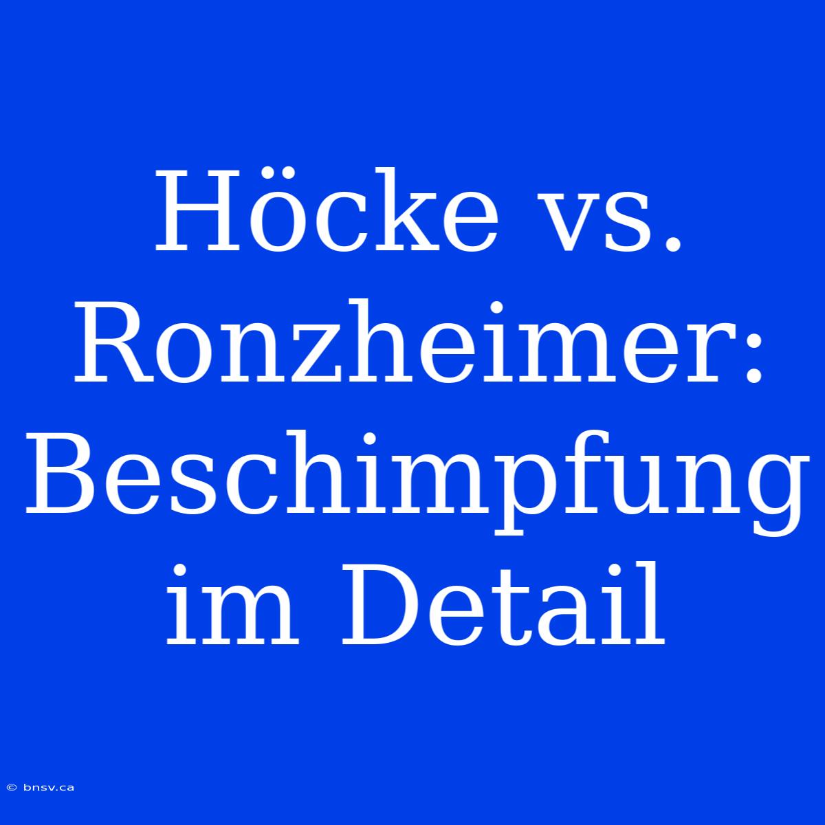 Höcke Vs. Ronzheimer: Beschimpfung Im Detail