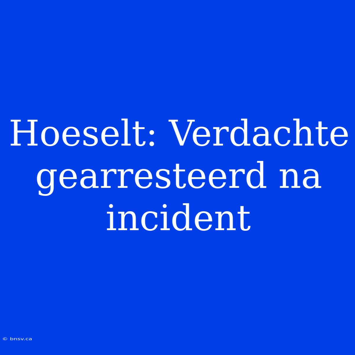 Hoeselt: Verdachte Gearresteerd Na Incident