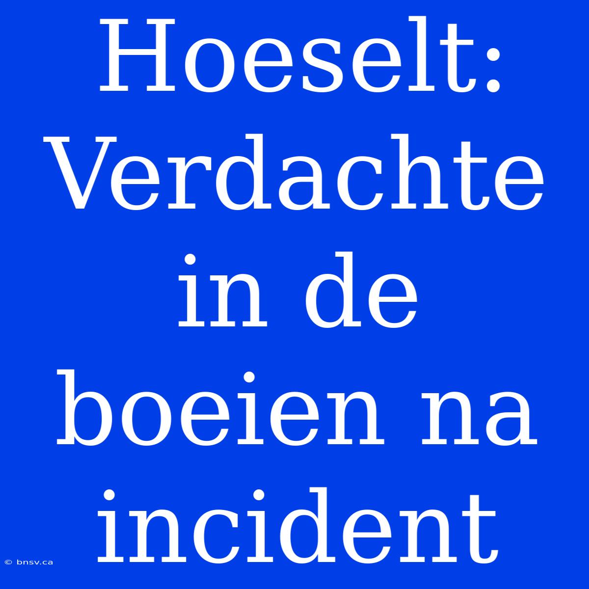 Hoeselt: Verdachte In De Boeien Na Incident