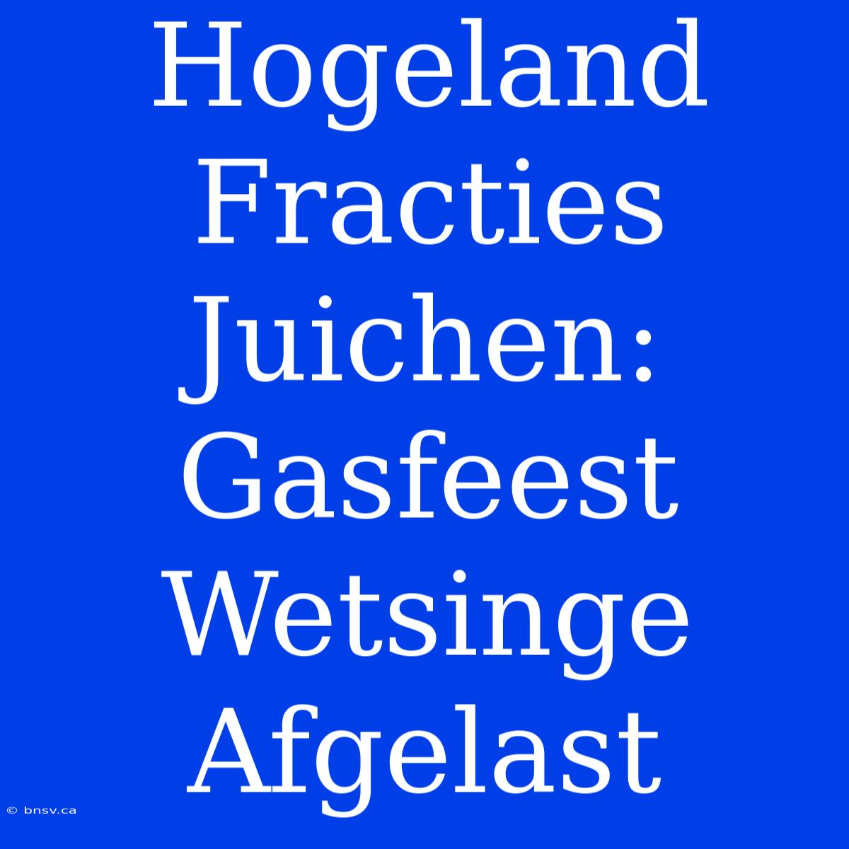 Hogeland Fracties Juichen: Gasfeest Wetsinge Afgelast