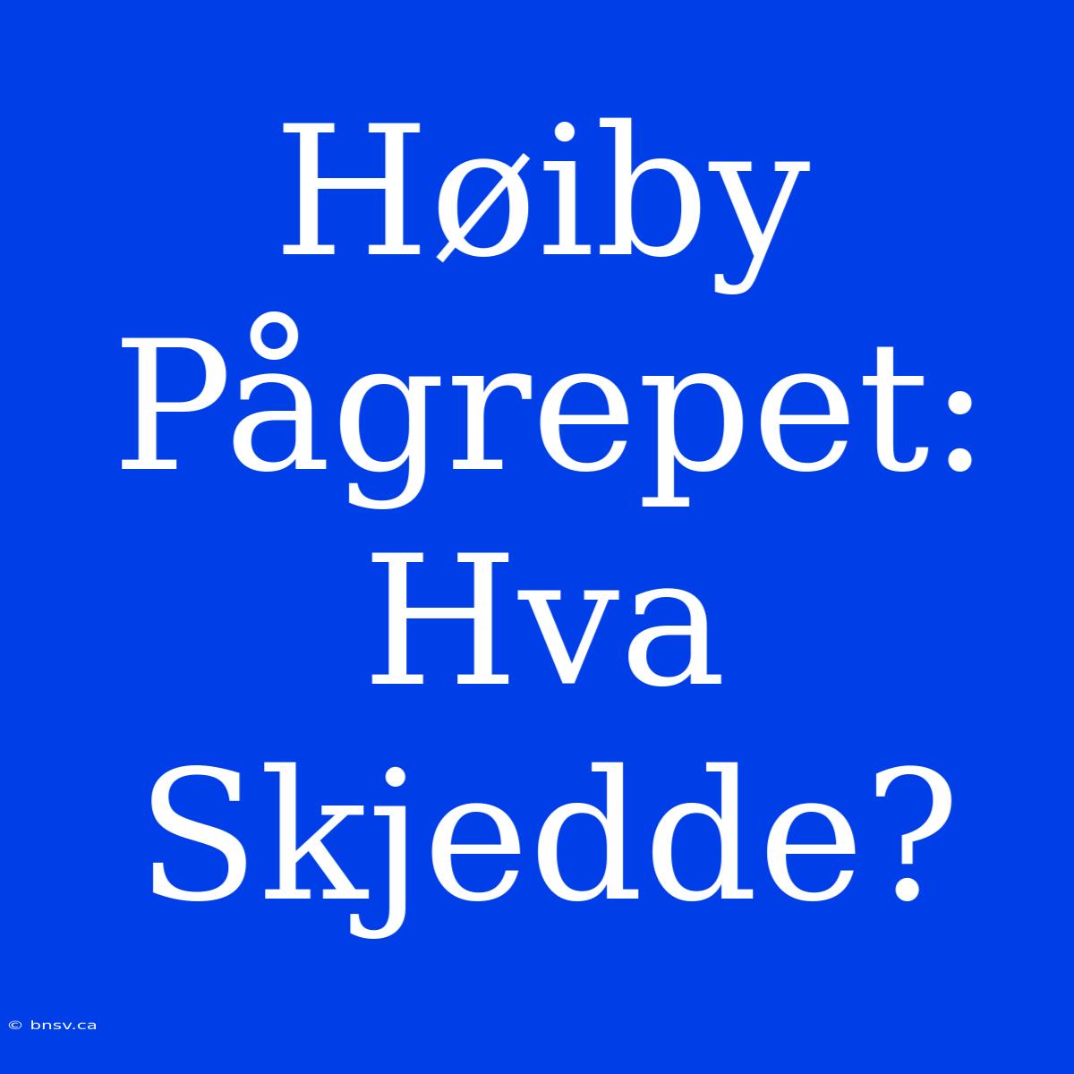 Høiby Pågrepet: Hva Skjedde?