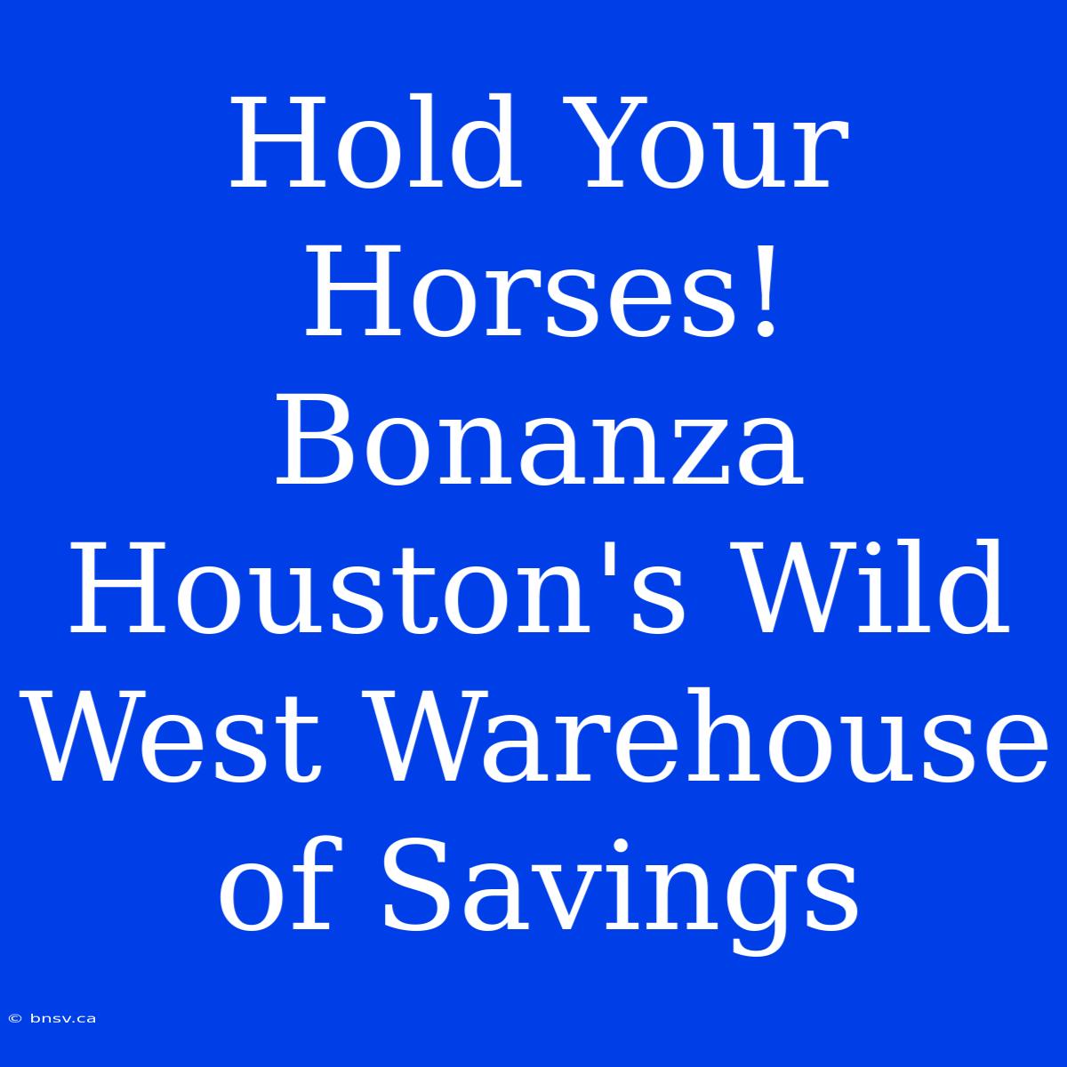 Hold Your Horses! Bonanza Houston's Wild West Warehouse Of Savings