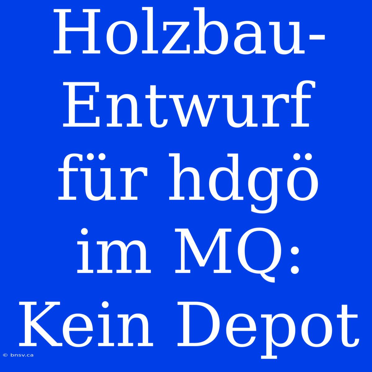 Holzbau-Entwurf Für Hdgö Im MQ: Kein Depot