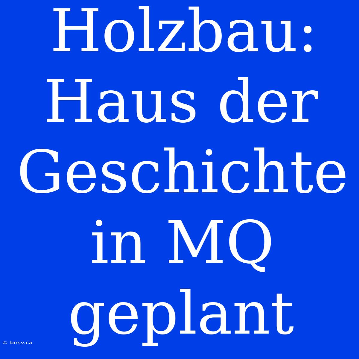 Holzbau: Haus Der Geschichte In MQ Geplant