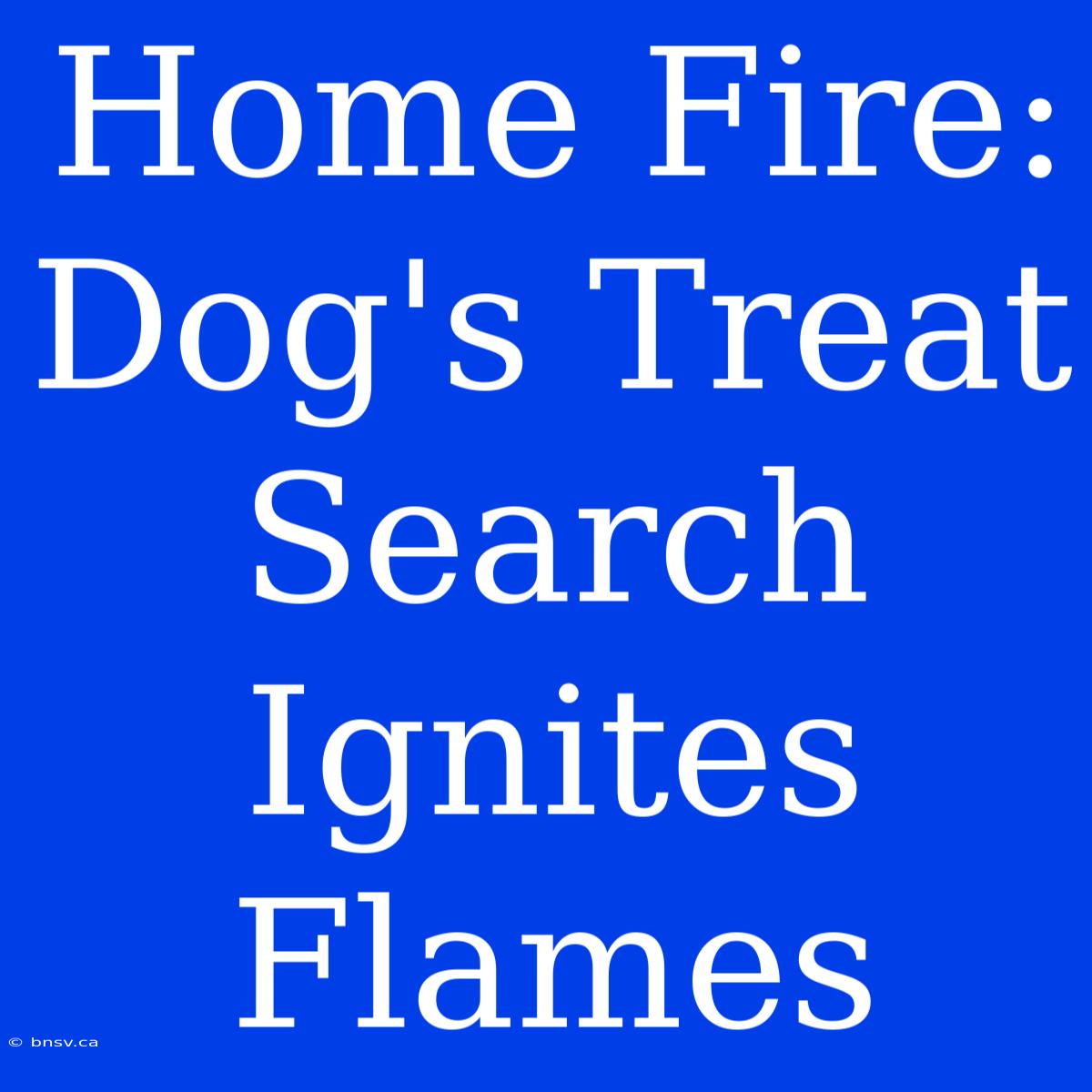 Home Fire: Dog's Treat Search Ignites Flames