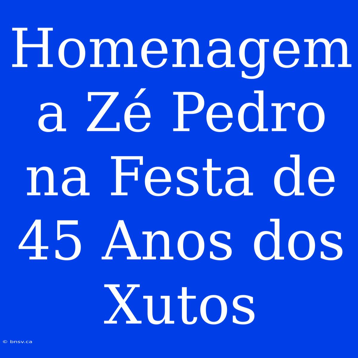 Homenagem A Zé Pedro Na Festa De 45 Anos Dos Xutos