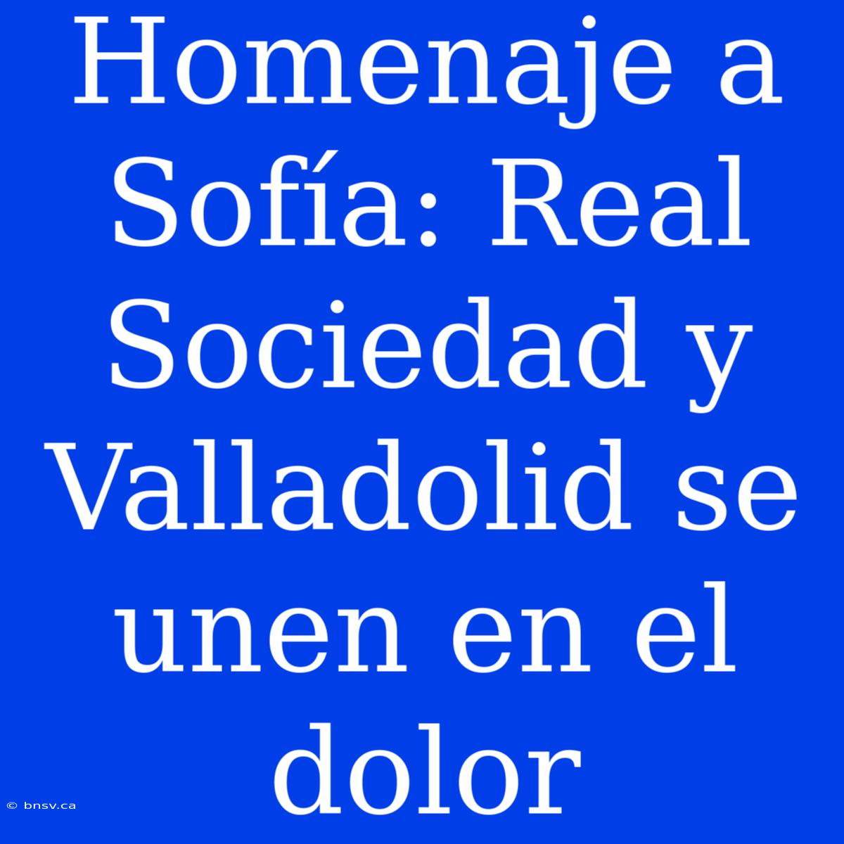 Homenaje A Sofía: Real Sociedad Y Valladolid Se Unen En El Dolor