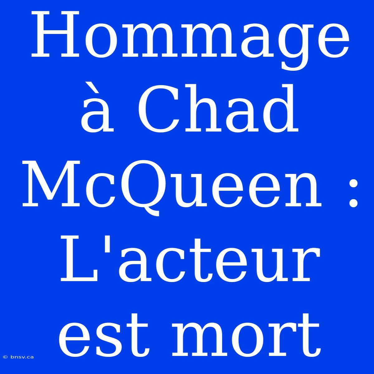 Hommage À Chad McQueen : L'acteur Est Mort