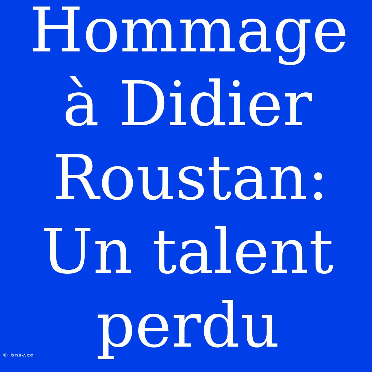 Hommage À Didier Roustan: Un Talent Perdu