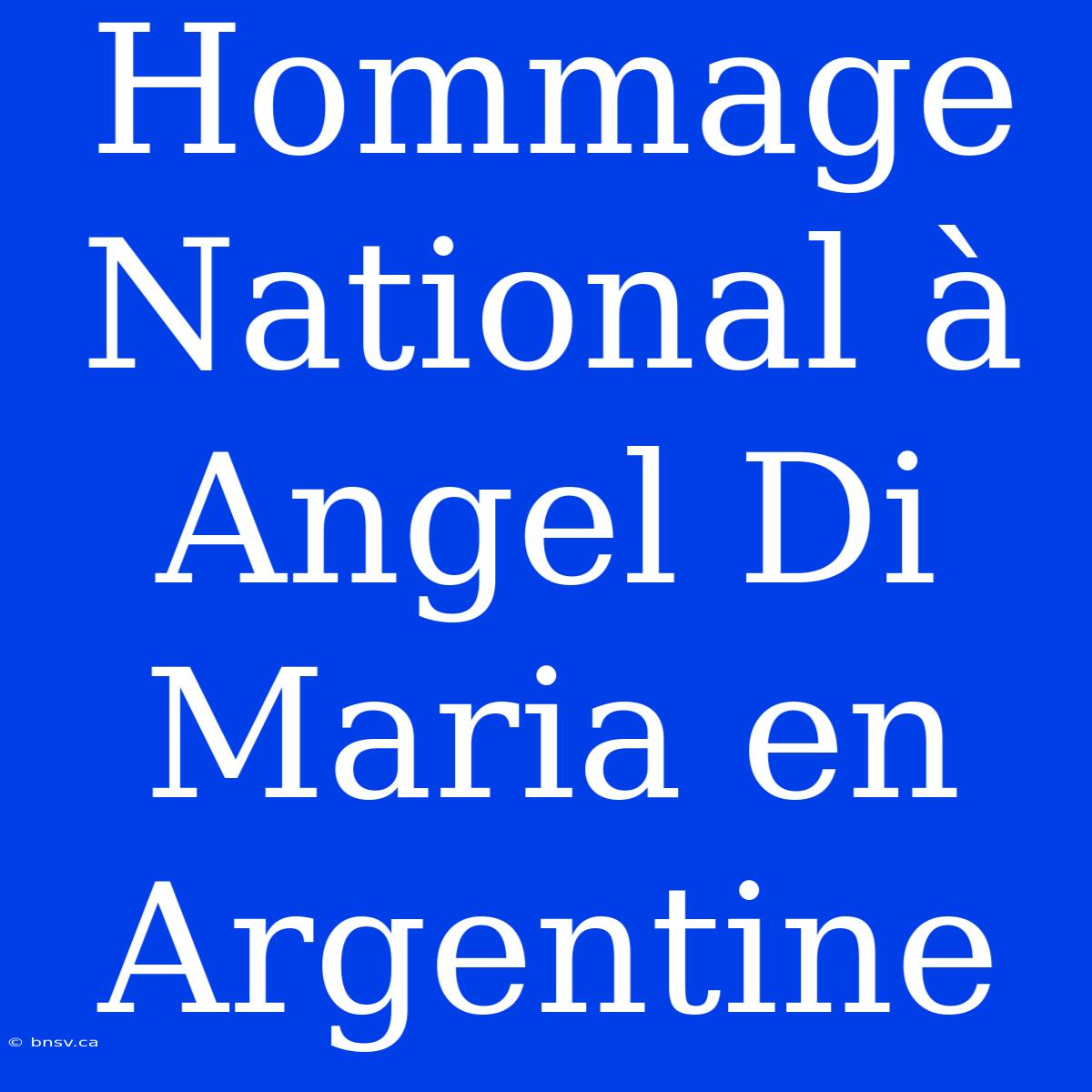 Hommage National À Angel Di Maria En Argentine