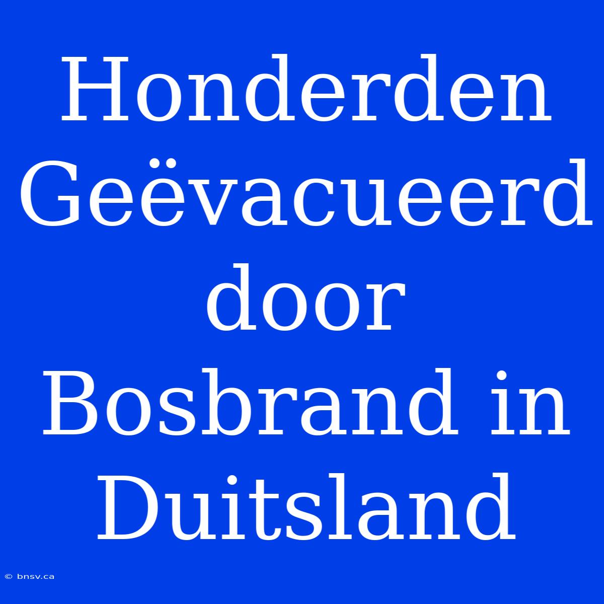 Honderden Geëvacueerd Door Bosbrand In Duitsland