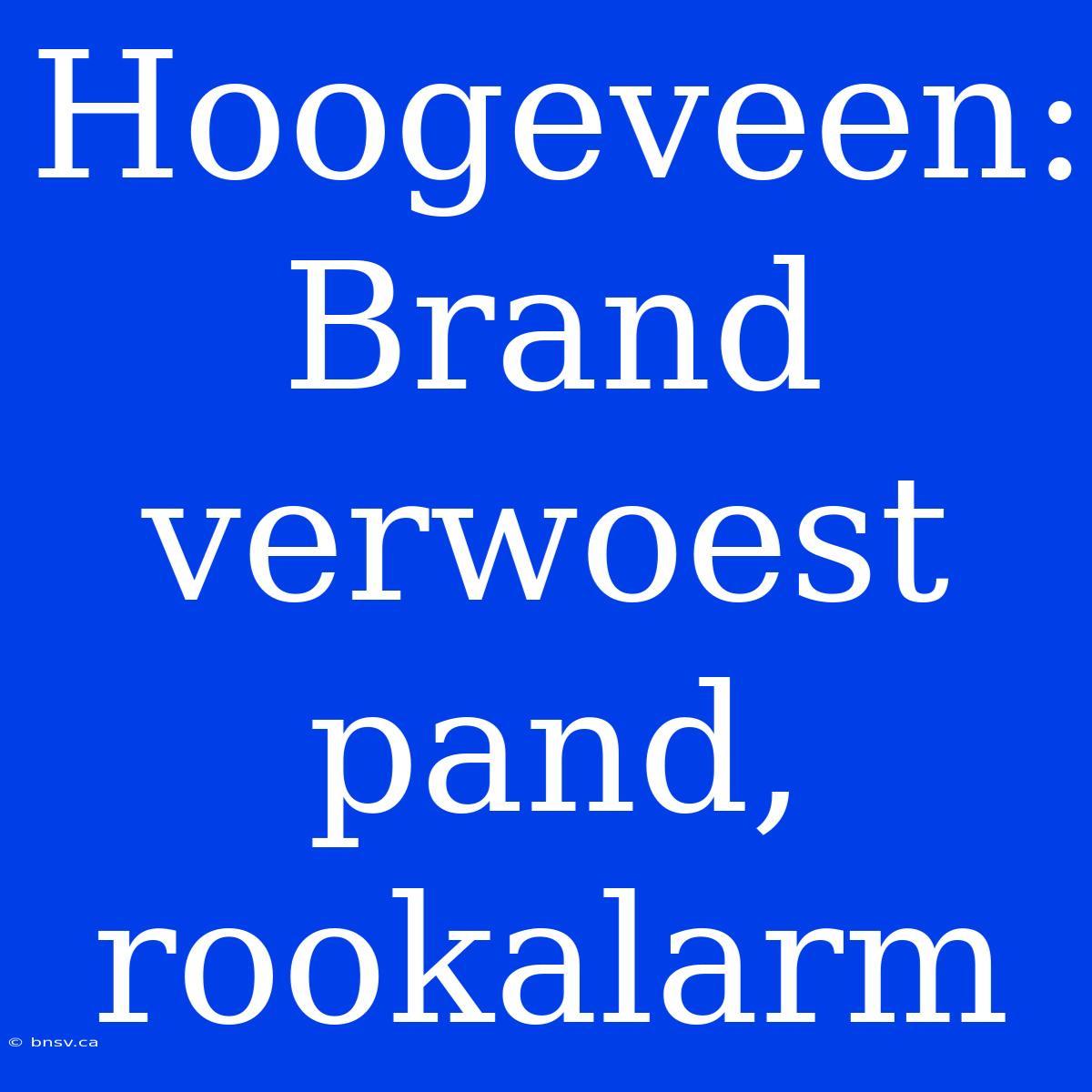 Hoogeveen: Brand Verwoest Pand, Rookalarm