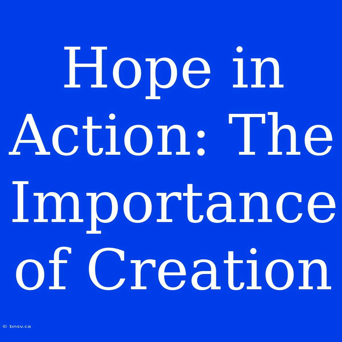 Hope In Action: The Importance Of Creation