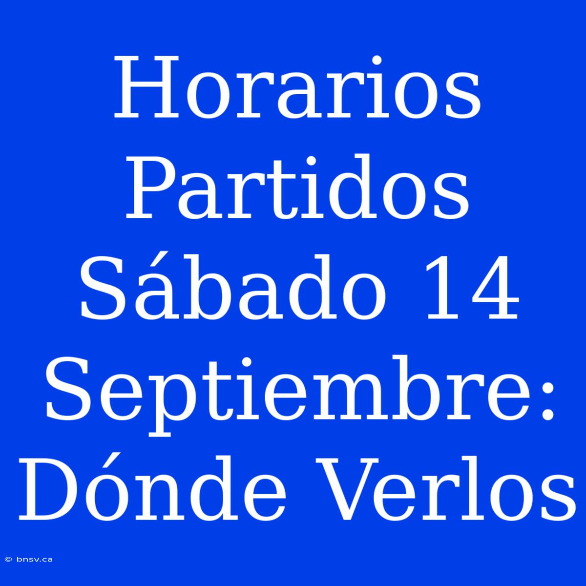 Horarios Partidos Sábado 14 Septiembre: Dónde Verlos