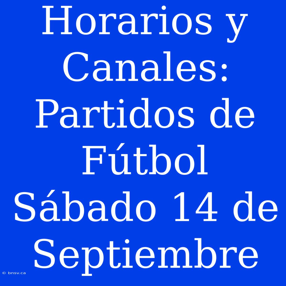 Horarios Y Canales: Partidos De Fútbol Sábado 14 De Septiembre