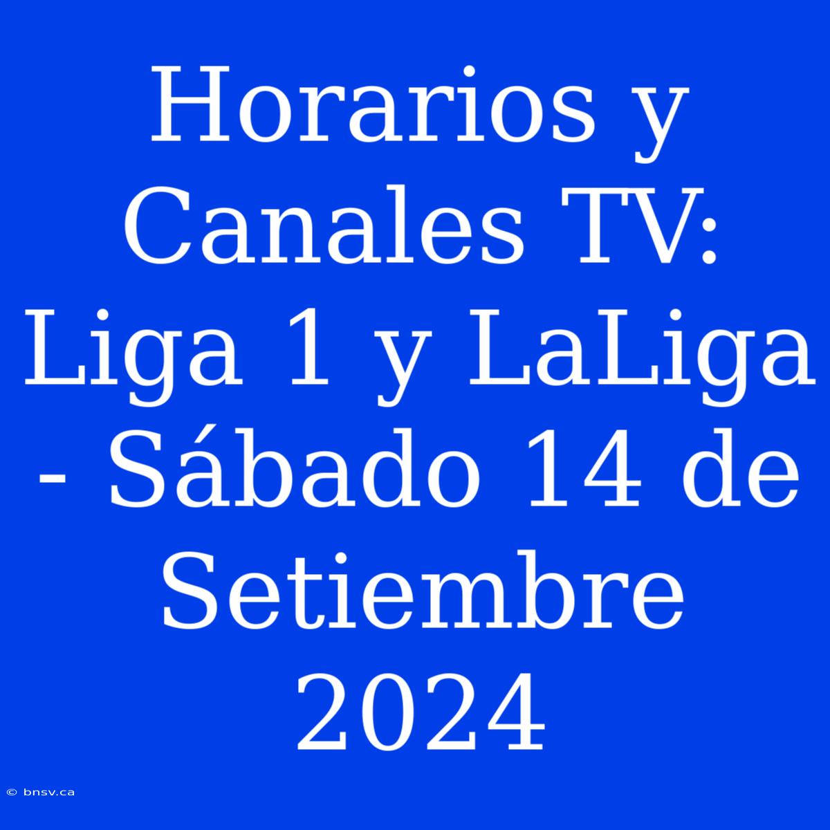 Horarios Y Canales TV: Liga 1 Y LaLiga - Sábado 14 De Setiembre 2024