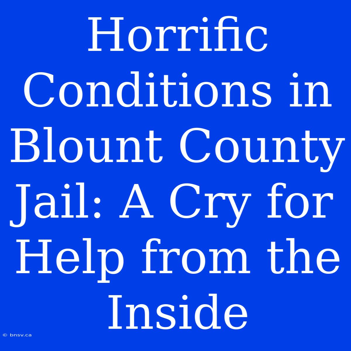 Horrific Conditions In Blount County Jail: A Cry For Help From The Inside