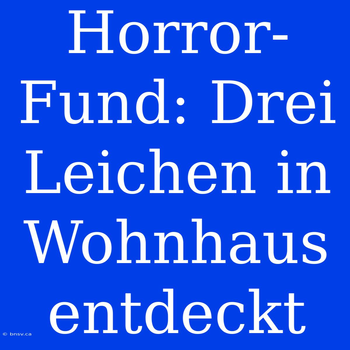 Horror-Fund: Drei Leichen In Wohnhaus Entdeckt