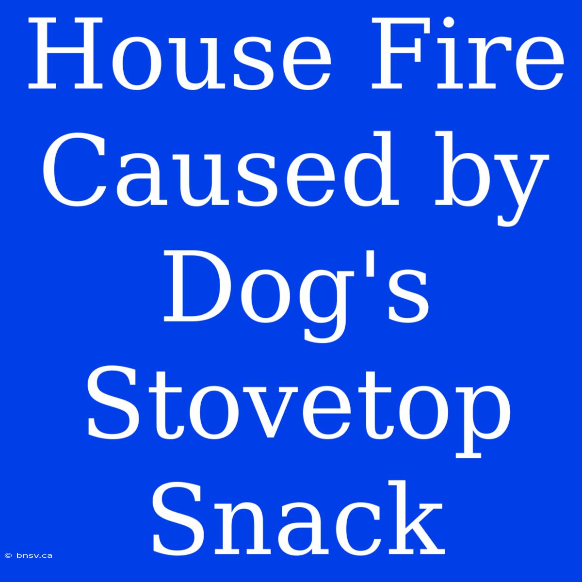 House Fire Caused By Dog's Stovetop Snack