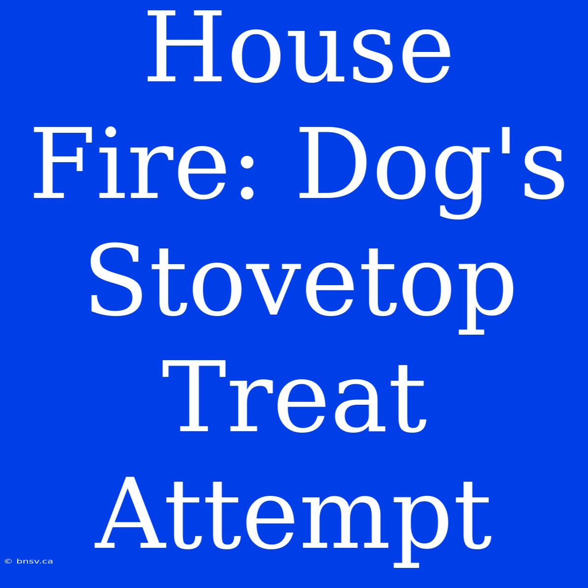 House Fire: Dog's Stovetop Treat Attempt