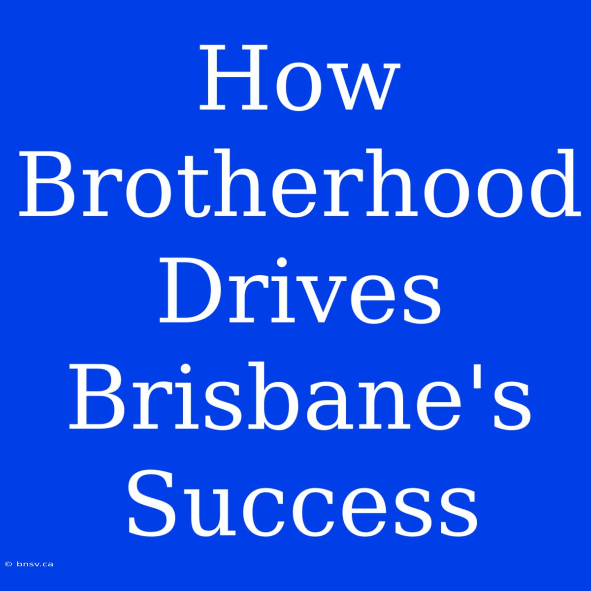 How Brotherhood Drives Brisbane's Success