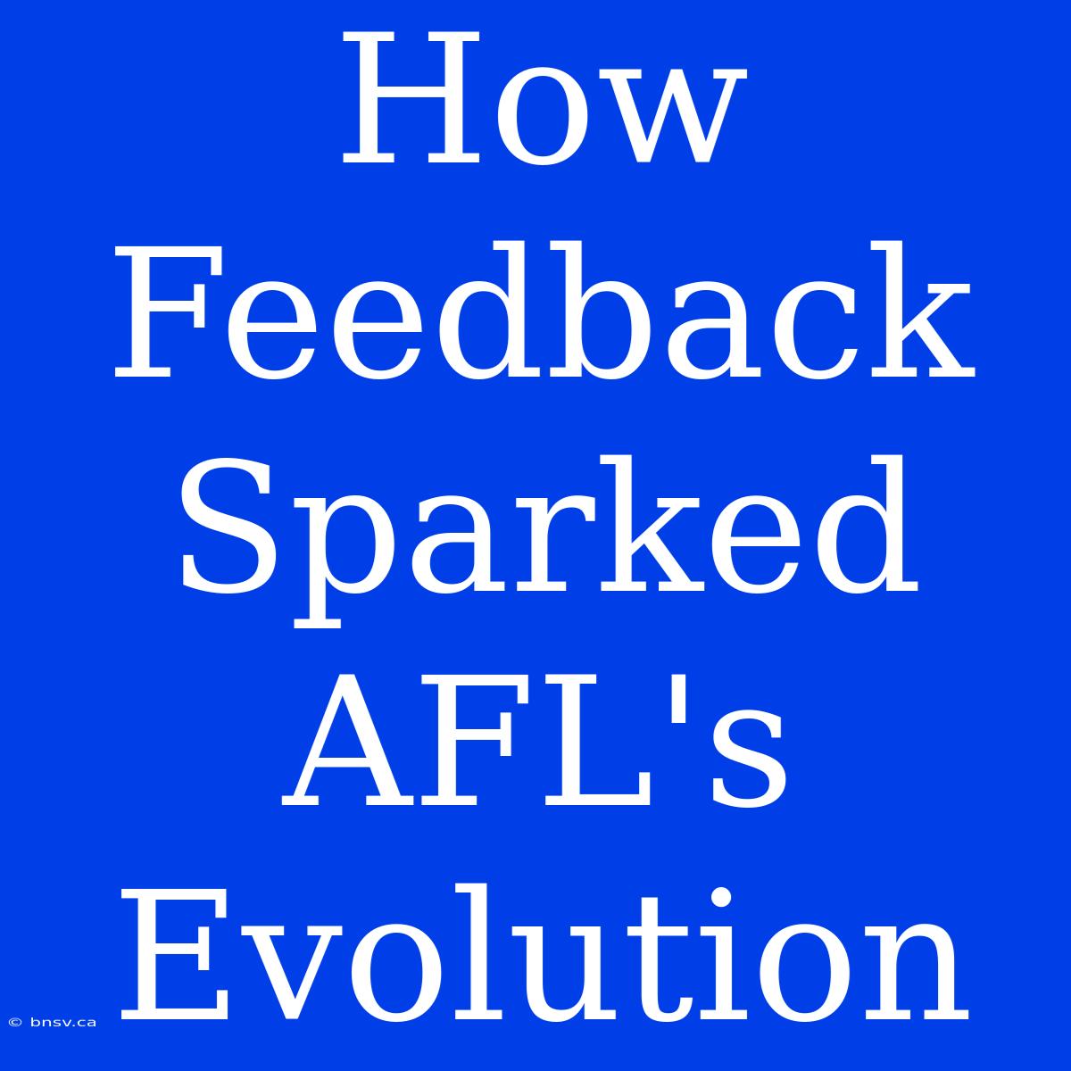 How Feedback Sparked AFL's Evolution