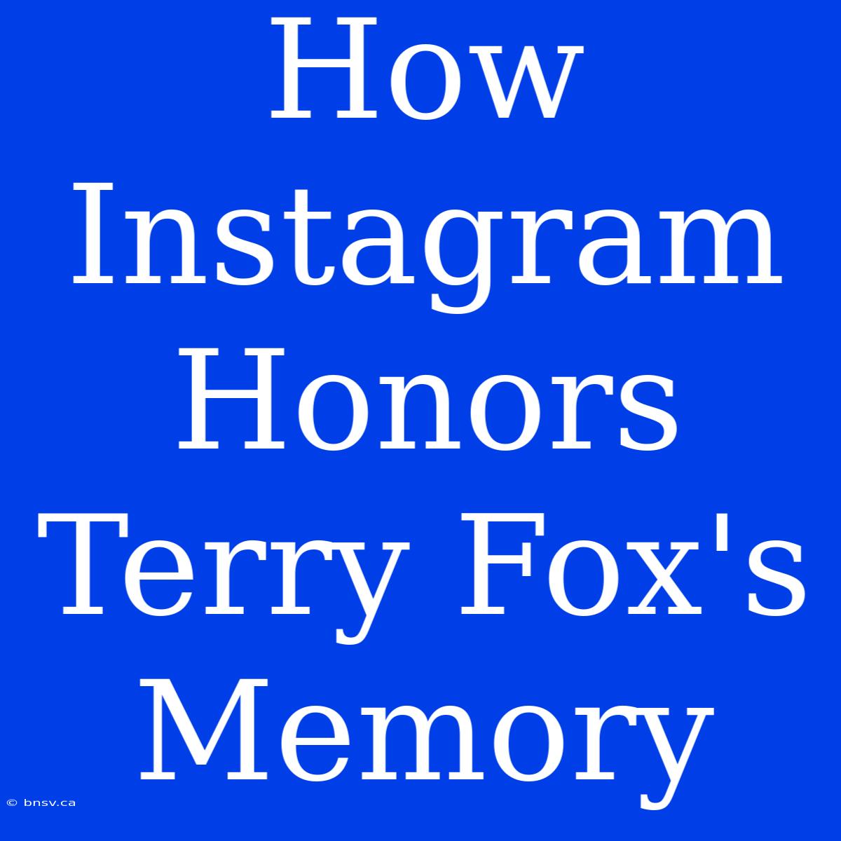 How Instagram Honors Terry Fox's Memory