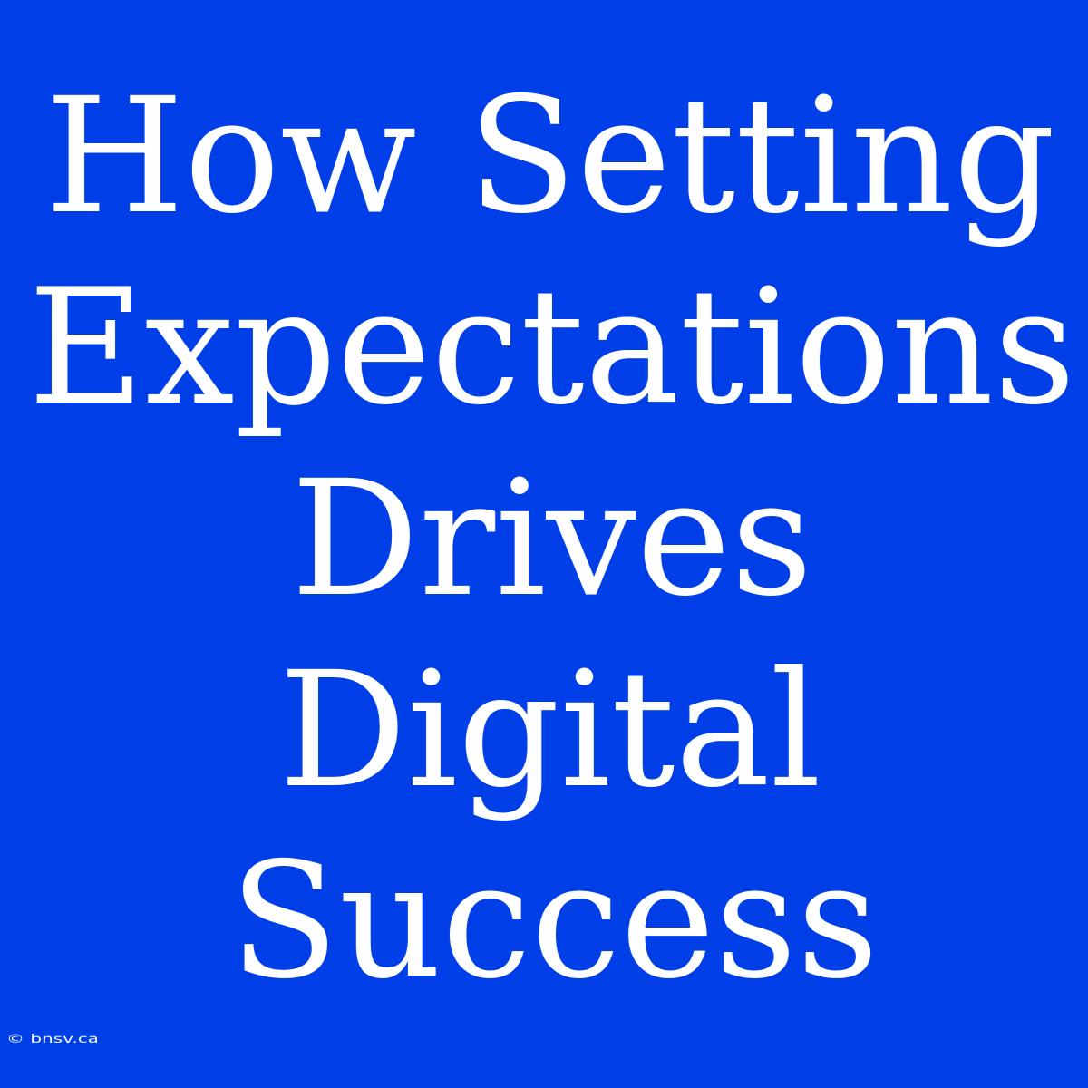 How Setting Expectations Drives Digital Success