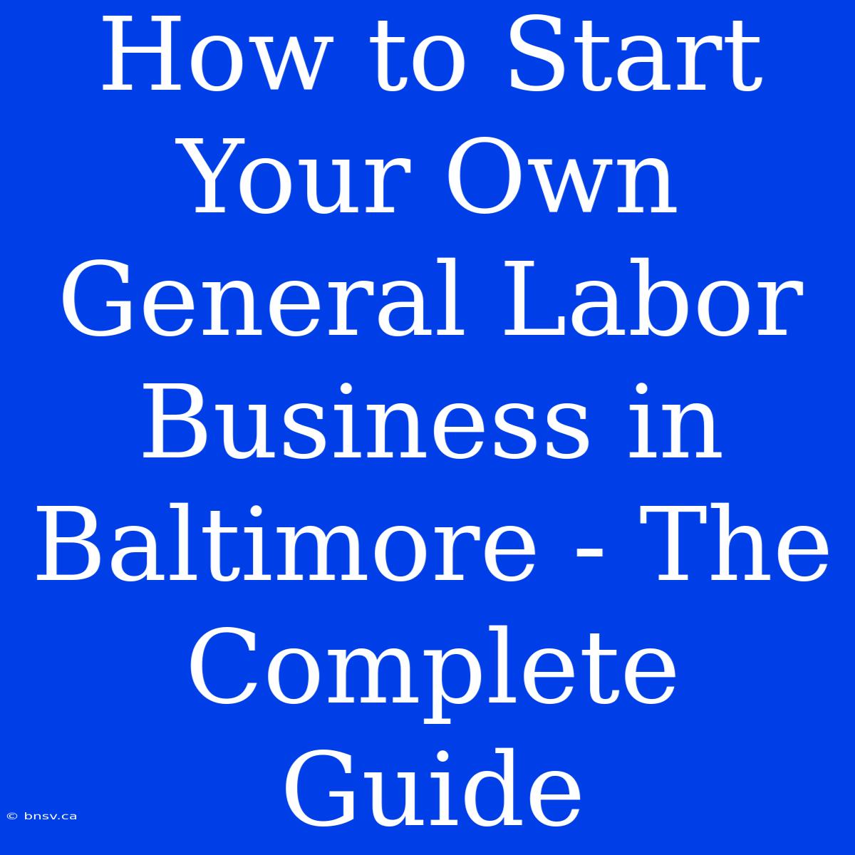 How To Start Your Own General Labor Business In Baltimore - The Complete Guide