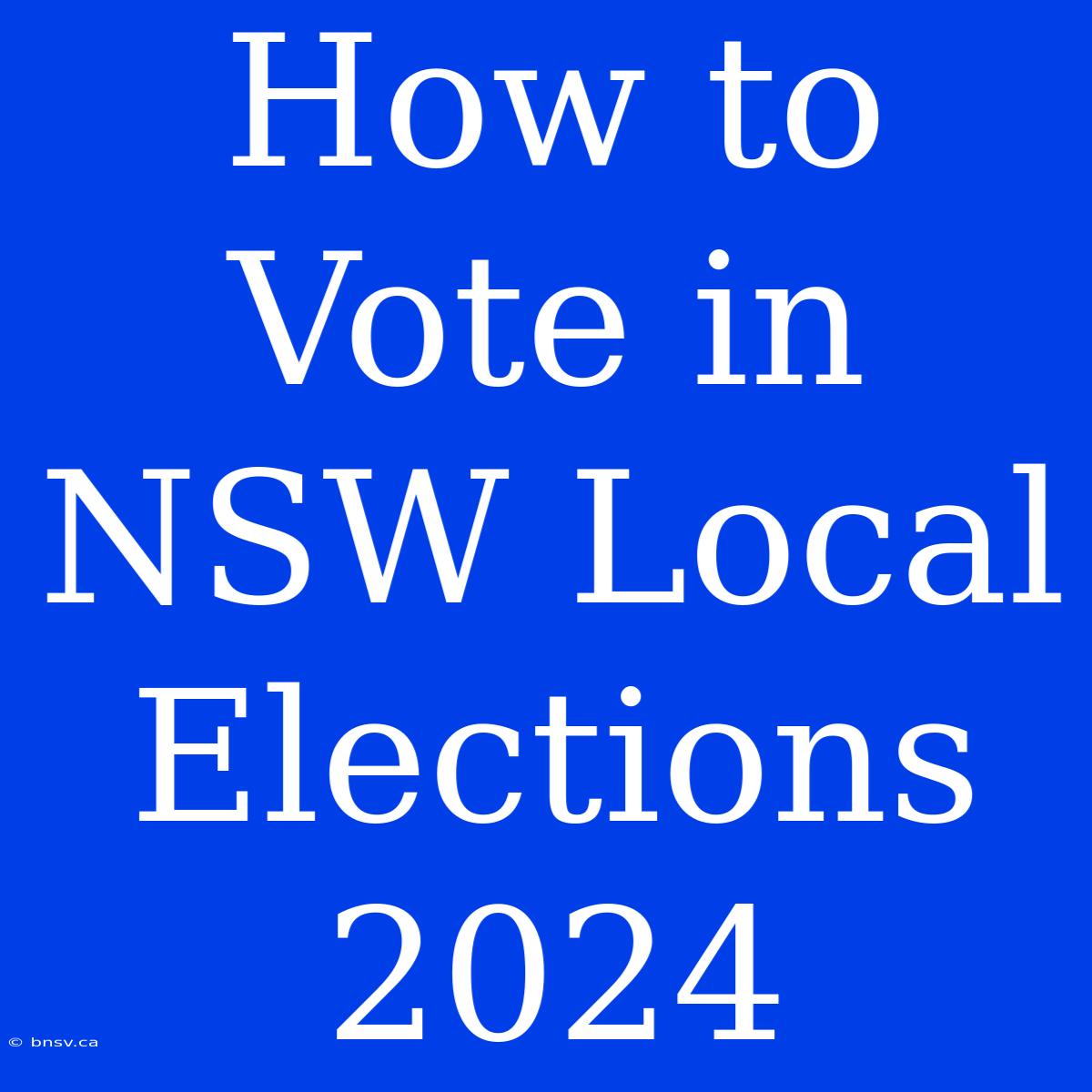 How To Vote In NSW Local Elections 2024